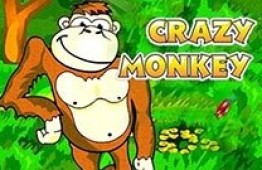 Crazy Monkey